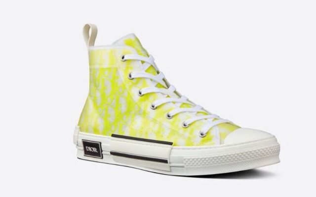 Dior B23 High Top Oblique Schuhe Sneaker